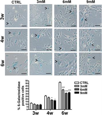 Proteomic and Biological Analysis of the Effects of Metformin Senomorphics on the Mesenchymal Stromal Cells